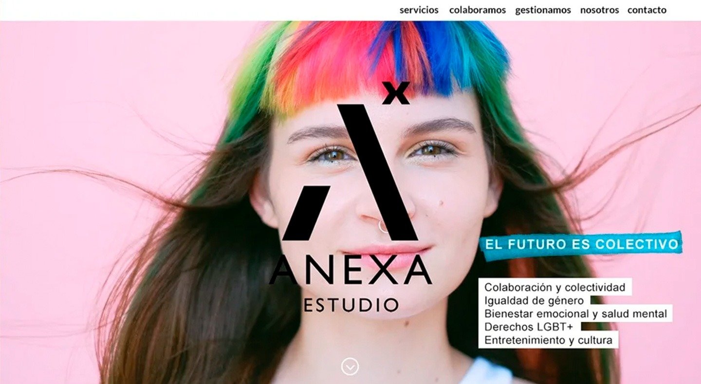 anexa1